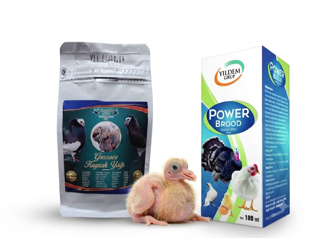 Yavru Güvercinler İçin Özel Bakım, Vitamin (Power Brood 100 ml) ve Elle Besleme Maması 600 gr Seti